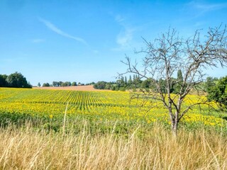 Vakantiehuis Lusignac Omgeving 10
