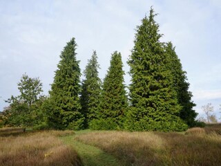 Ferienhaus Lusignac Umgebung 18