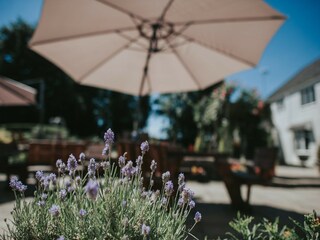 Apartamento Chard Grabación al aire libre 38