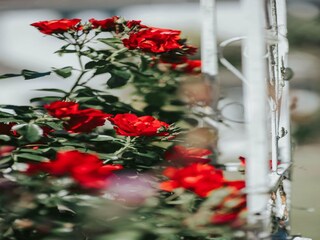 Appartamento Chard Registrazione all'aperto 37