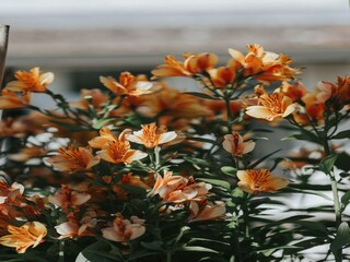 Apartamento Chard Grabación al aire libre 26