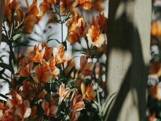 Apartamento Chard Grabación al aire libre 22