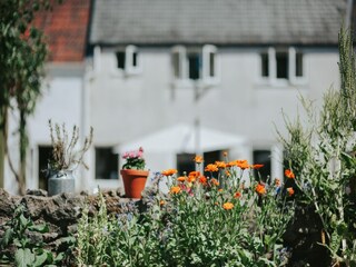 Apartamento Chard Grabación al aire libre 38