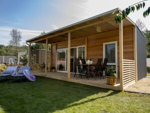 Ferienpark Schönes Chalet mit 2 Bädern in der Nähe der IJssel - Olburgen - image1