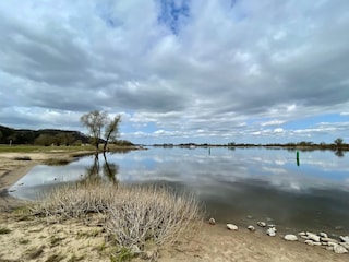Blick auf die Elbe