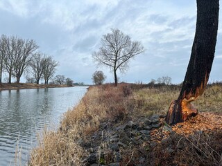 Holiday apartment Hitzacker Environment 31