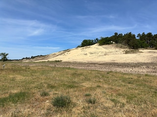 Wanderdüne bei Dömitz