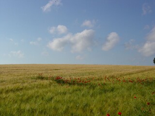 weite Landschaft an der Werra