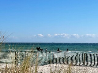 Ferienwohnung Grömitz Außenaufnahme 3