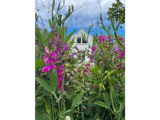 Ferienhaus Petersdorf Außenaufnahme 5