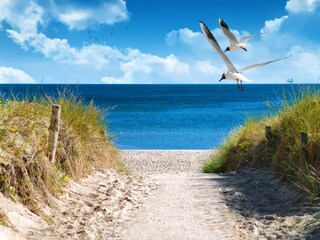 Ferienhaus Großenbrode Außenaufnahme 12