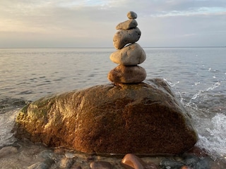 Ferienhaus Elmenhorst Umgebung 25