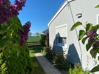 Ferienhaus Elmenhorst Außenaufnahme 12