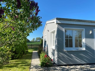 Ferienhaus Elmenhorst Außenaufnahme 14