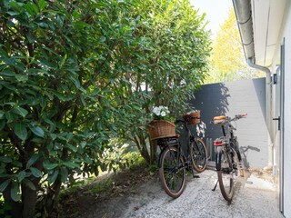 Ferienhaus Pelzerhaken Außenaufnahme 13