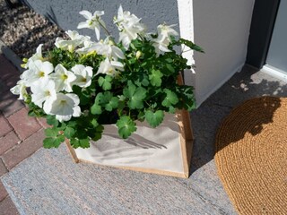 Ferienhaus Pelzerhaken Außenaufnahme 15