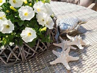 Ferienhaus Pelzerhaken Außenaufnahme 23