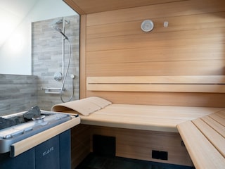 Eleganz trifft Komfort – Ferienwohnung mit Sauna & Balkon