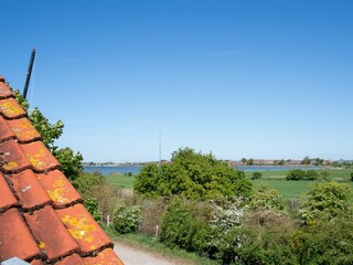 Ferienhaus Neujellingsdorf Außenaufnahme 6