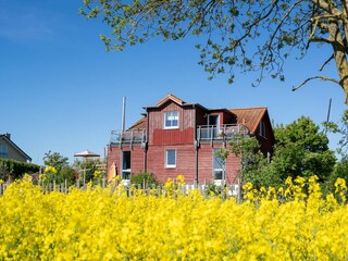 Ferienhaus Neujellingsdorf Außenaufnahme 8