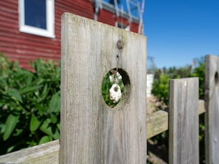 Ferienhaus Neujellingsdorf Außenaufnahme 10