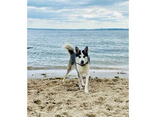 Ferienwohnung Pelzerhaken Außenaufnahme 20