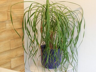 Ferienwohnung Grömitz Außenaufnahme 9