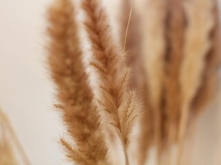 Ferienwohnung Grömitz Außenaufnahme 30