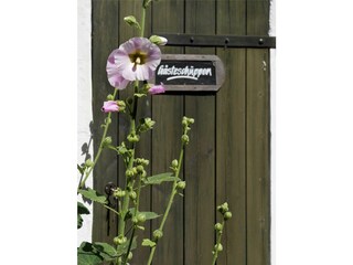 Ferienhaus Neujellingsdorf Ausstattung 46