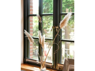 Ferienhaus Neujellingsdorf Ausstattung 39