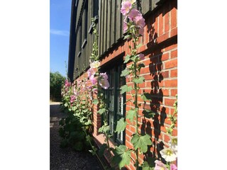 Ferienhaus Neujellingsdorf Außenaufnahme 7