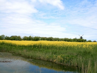 Ferienhaus Neujellingsdorf Umgebung 47