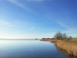 Ferienhaus Neujellingsdorf Umgebung 46