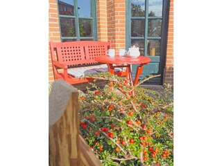 Ferienhaus Neujellingsdorf Außenaufnahme 10