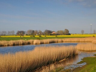 Ferienhaus Neujellingsdorf Außenaufnahme 16