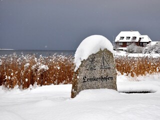 Ferienhaus Neujellingsdorf Außenaufnahme 17