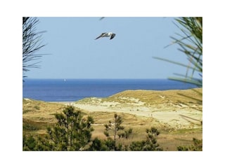 Meerblick