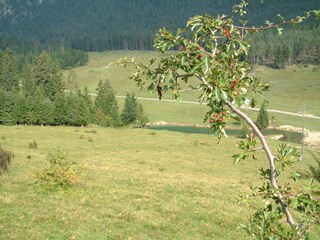 Appartamento per vacanze St. Stefan im Gailtal Ambiente 19