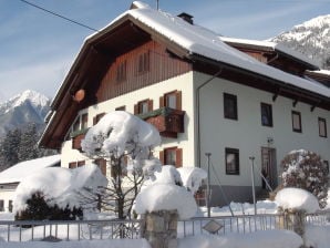 Holiday apartment Guesthouse in Wiesengrund Top 2 - St. Stefan im Gailtal - image1