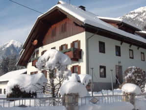 Appartamento vacanze Guesthouse in Wiesengrund Top 2