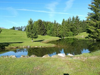 Appartamento per vacanze St. Stefan im Gailtal Ambiente 25