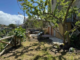 Der schöne Garten mit mediterraner Vegetation