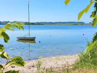 Wormshöfter Noor bei Maasholm an der Schlei Ostsee