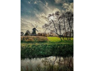 Mühle Westerbur