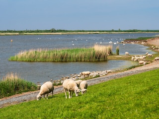 Appartement de vacances Tossens Environnement 21