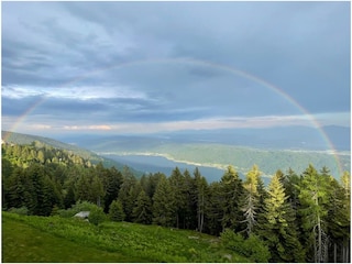 Naturspektakel vom Balkon