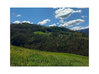 Ferienwohnung Castelnovo ne' Monti Umgebung 18
