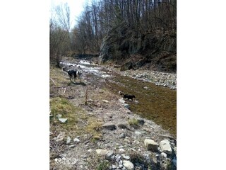 Ferienwohnung Castelnovo ne' Monti Umgebung 20
