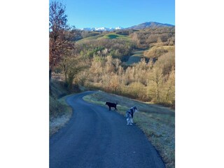 Walk from the village