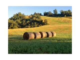Ferienwohnung Castelnovo ne' Monti Umgebung 26